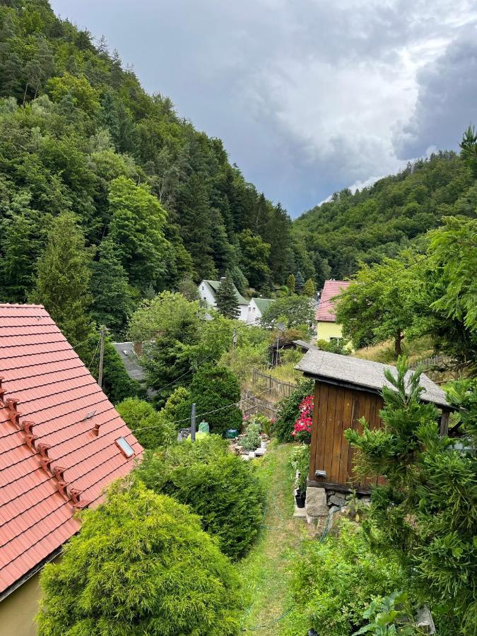 Pension Alpenrose Bad Schandau Bagian luar foto